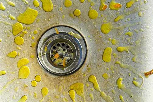 avoid pouring grease down the drain