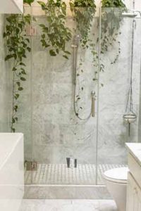 plants-around-a-shower-cabin