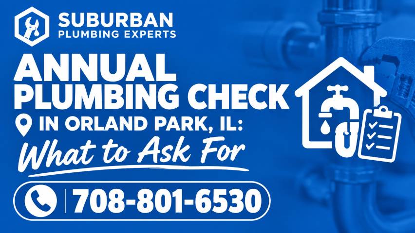 annual plumbing check orland park illinois