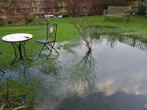 Addressing Backyard Flooding in Illinois