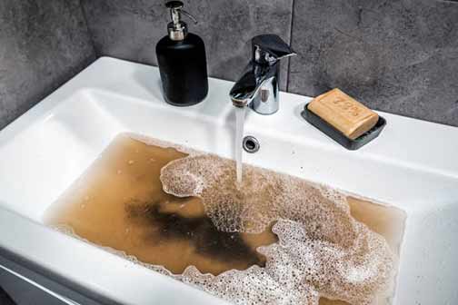 The Role of Blocked Drains in Attracting Pests to Your Home