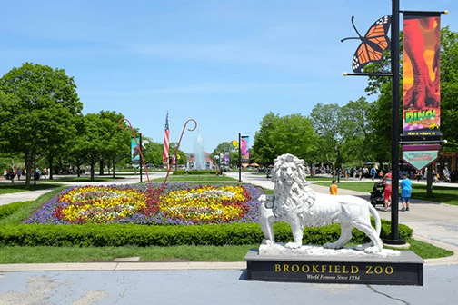 brookfield zoo in brookfield illinois