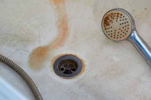 How to Clean a Shower Drain the Correct Way