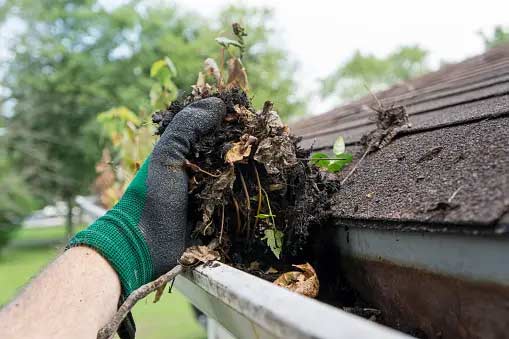 gutter cleaning can prevent water damage to your home.