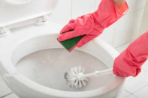 a person cleaning their toilet bowl