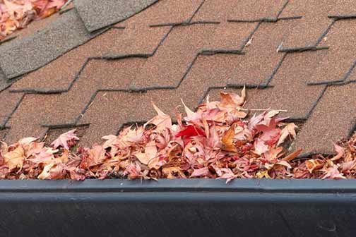 Why Fall is the Prime Time for Clearing Your Drains