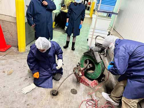 Why Commercial Drain Cleaning Service is the Backbone of Business Success