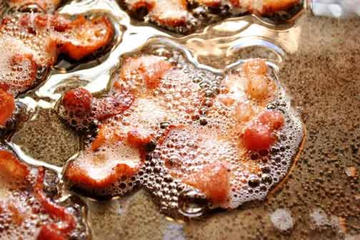 grease from cooking bacon shouldn't go in your drains.