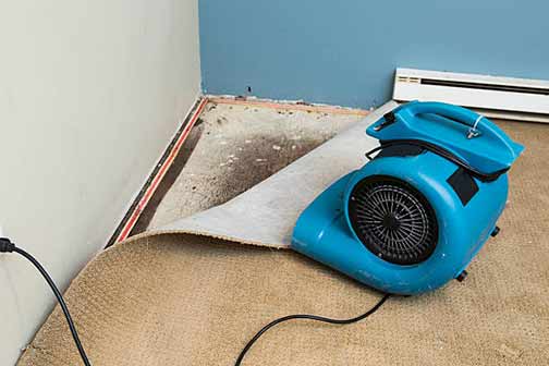 a dehumidifier to dry out a basement.