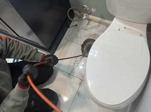 drain cleaning services in north riverside.