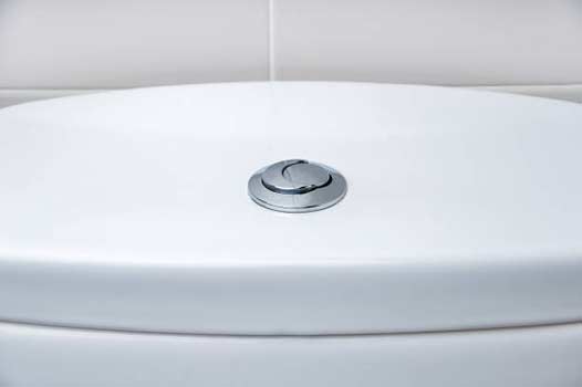 a dual flush toilet can help you save water.