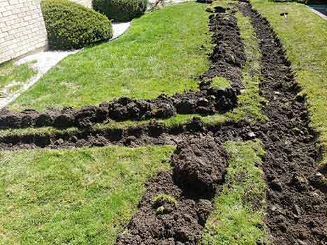 french drain installation service in chicago illinois