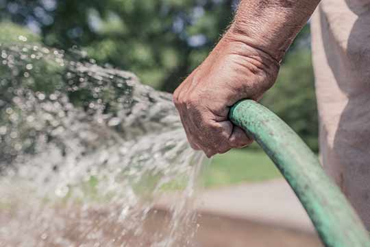 disconnect your hose before winter.