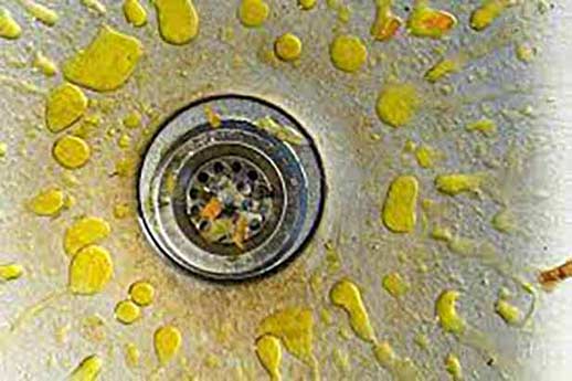 avoid pouring grease down your drain.