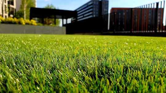 green patches of lawn.