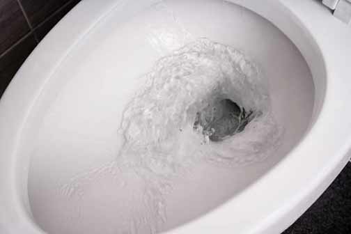 Identifying the Cause of Strange Gurgling Sounds from Your Toilet