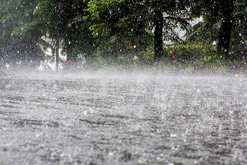 Bold Steps to Prevent Basement Flooding Ahead of Storm Season