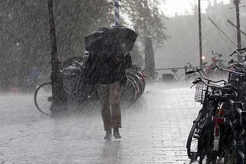 Preparing Your Illinois Home for Heavy Rains
