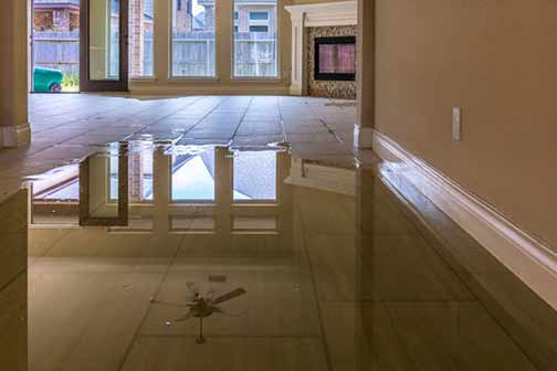 Preventing Water Damage in Your Home