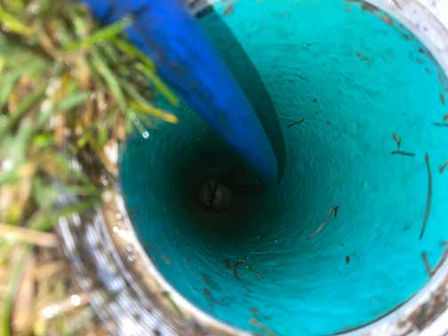 hydro jetting a sewer line to remove a clog.