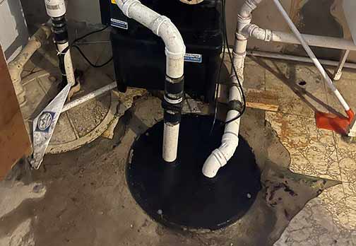 a professionally installed sump pump