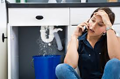 a woman in la grange illinois with a kitchen sink leak