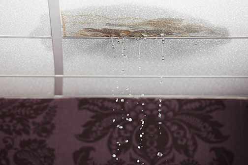 What to Do When Water Leaks Through the Ceiling