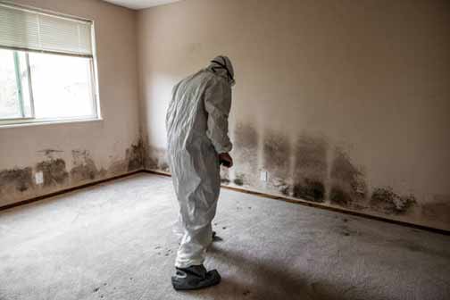 a professional removing mold and mildew from a home after a burst pipe