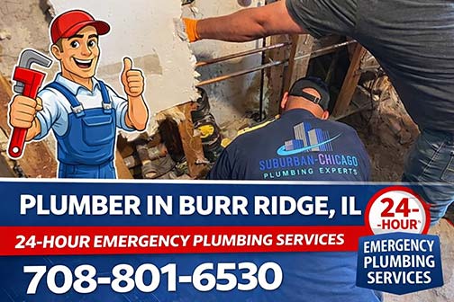a plumber near me in burr ridge illinois making a repair