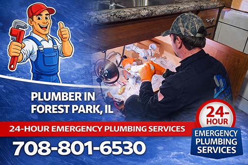 plumber near me in forest park illinois repairing a kitchen drain