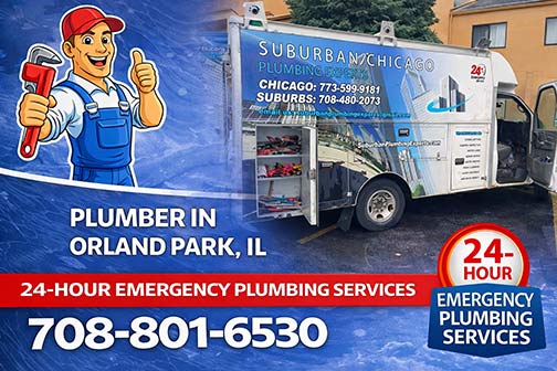 plumber near me orland park illinois