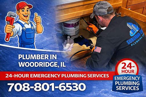 plumber near me woodridge illinois