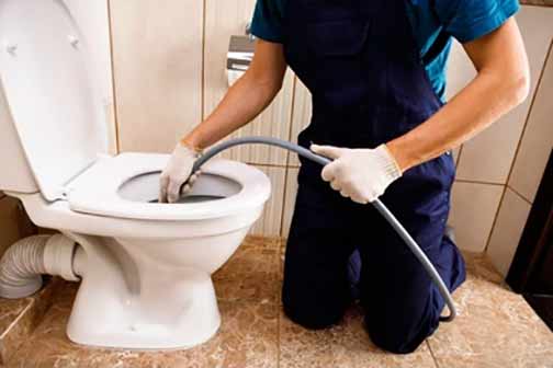 a professional plumber unclogging a toilet