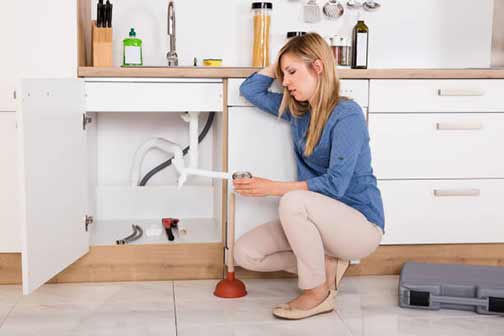 a woman with plumbing issues in willow springs illinois