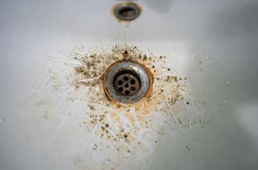 Understanding Plumbing Malfunctions That Encourage Mold Growth
