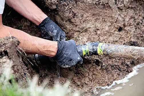Is Your Sewer Line at Risk