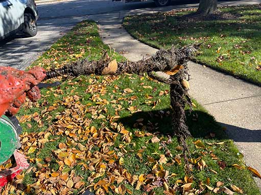 a sewer line repair in cicero is needed.