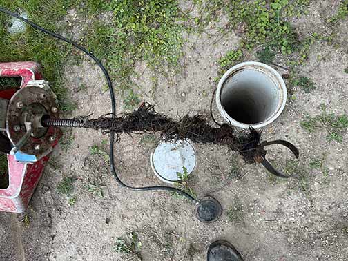 a sewer rodding drain cleaning