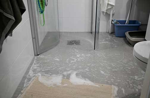 A Professional's Insight into Shower Overflow
