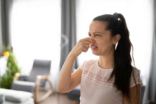 Understanding Smelly Drains