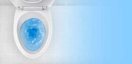 what to do when something gets flushed down the toilet.