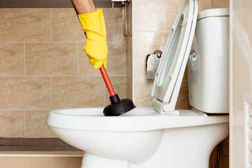 learn the best ways to unclog a toilet