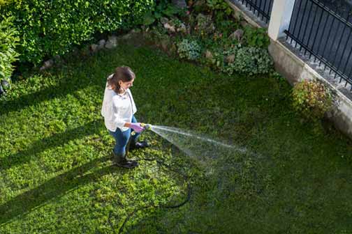 a woman watering her lawn with a hose.