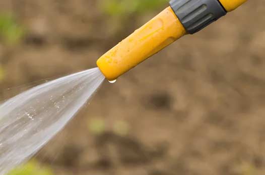 cut down on watering your lawn to save water.