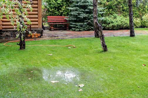 a problematic wet patch in a yard